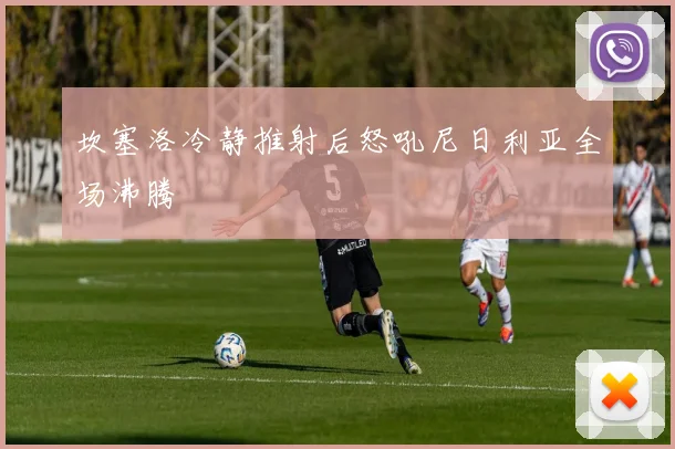 坎塞洛冷静推射后怒吼尼日利亚全场沸腾