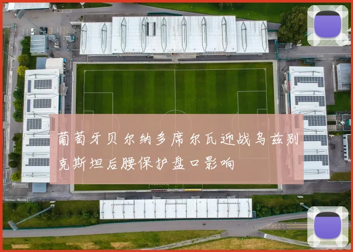 葡萄牙贝尔纳多席尔瓦迎战乌兹别克斯坦后腰保护盘口影响