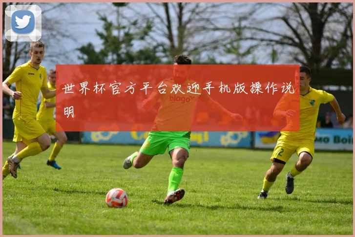 世界杯官方平台欢迎手机版操作说明