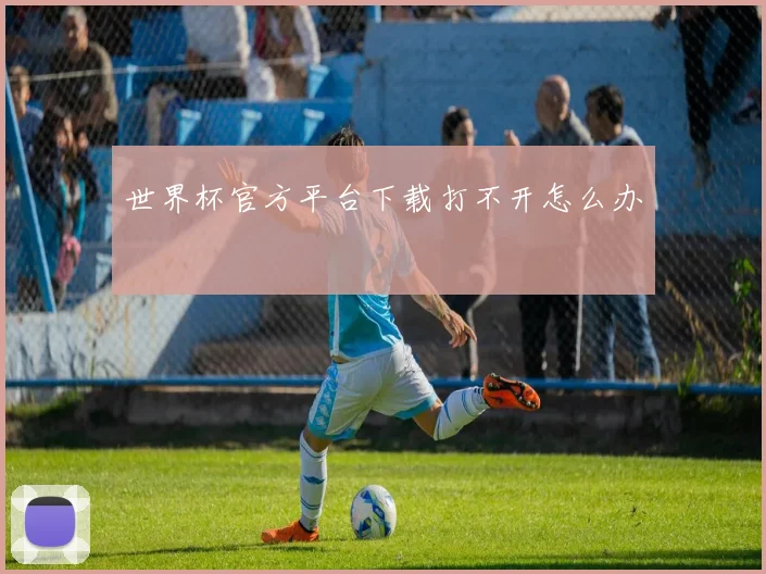 世界杯官方平台下载打不开怎么办