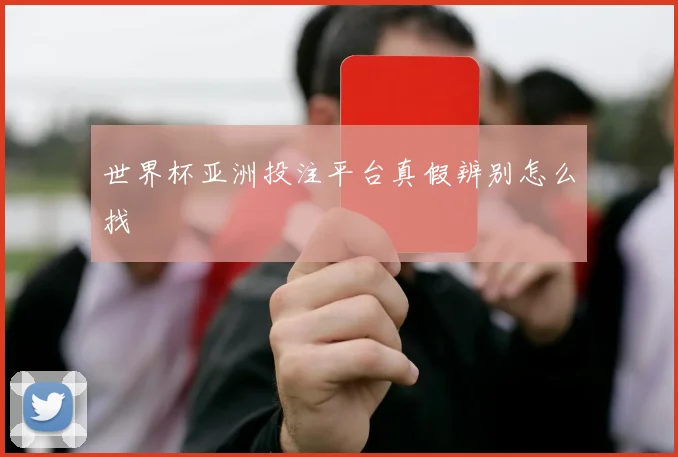 世界杯亚洲投注平台真假辨别怎么找