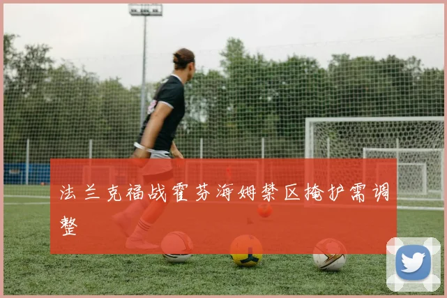 法兰克福战霍芬海姆禁区掩护需调整